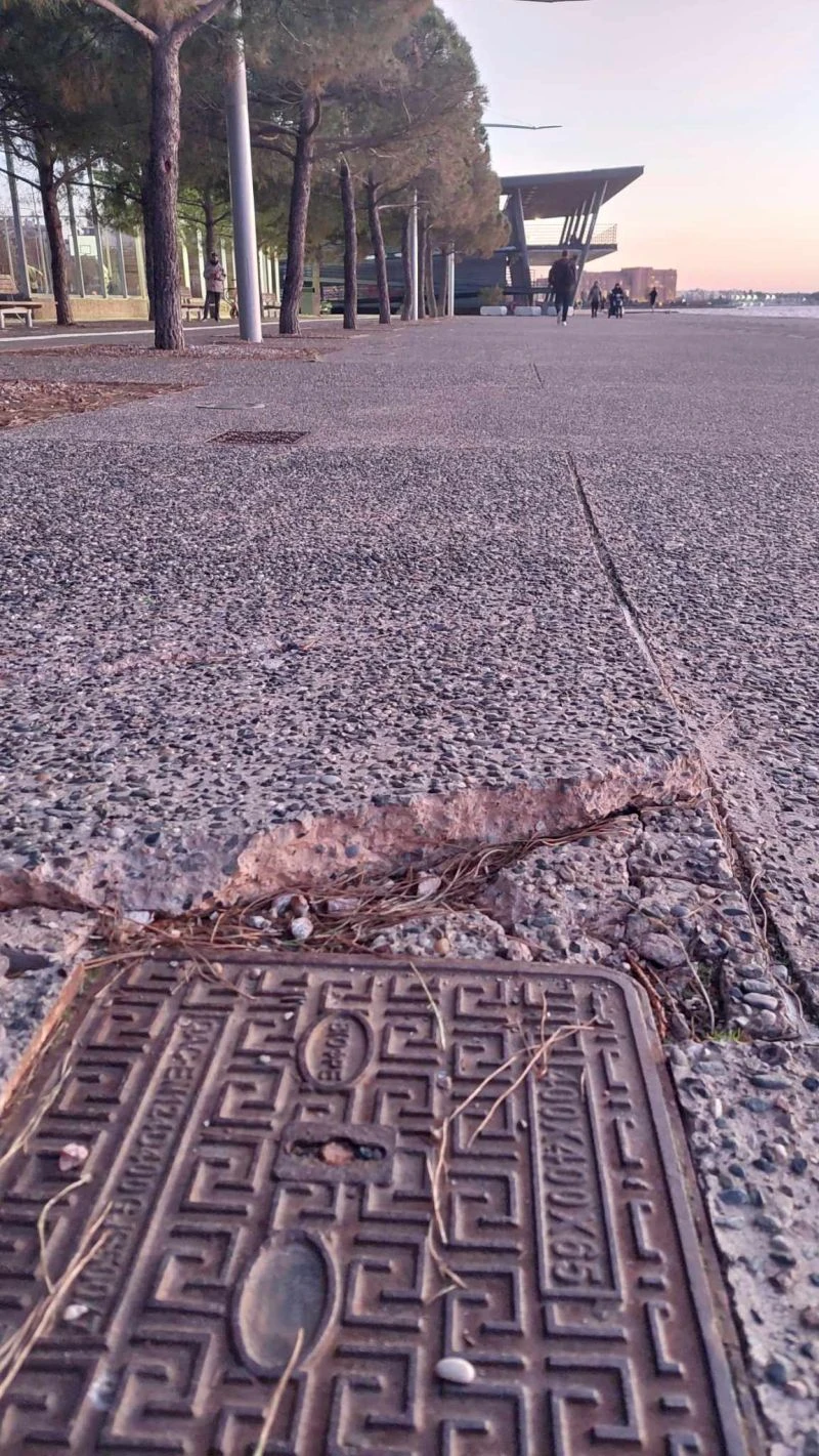 «Φουσκωμένο» έδαφος δίπλα από δενδροδόχο