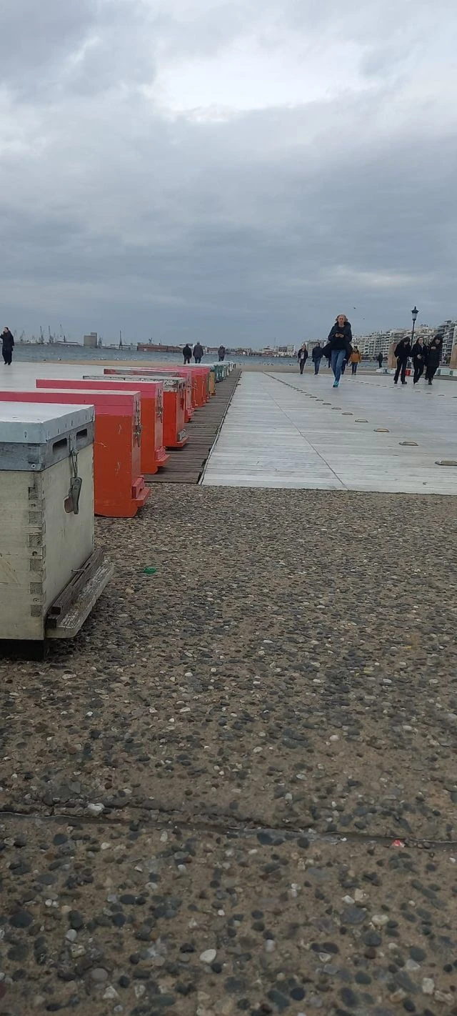 melissokomoi-thessaloniki-diamartyria-fevrouarios-2024-2.jpg melissokomoi-thessaloniki-diamartyria-fevrouarios-2024-2.jpg