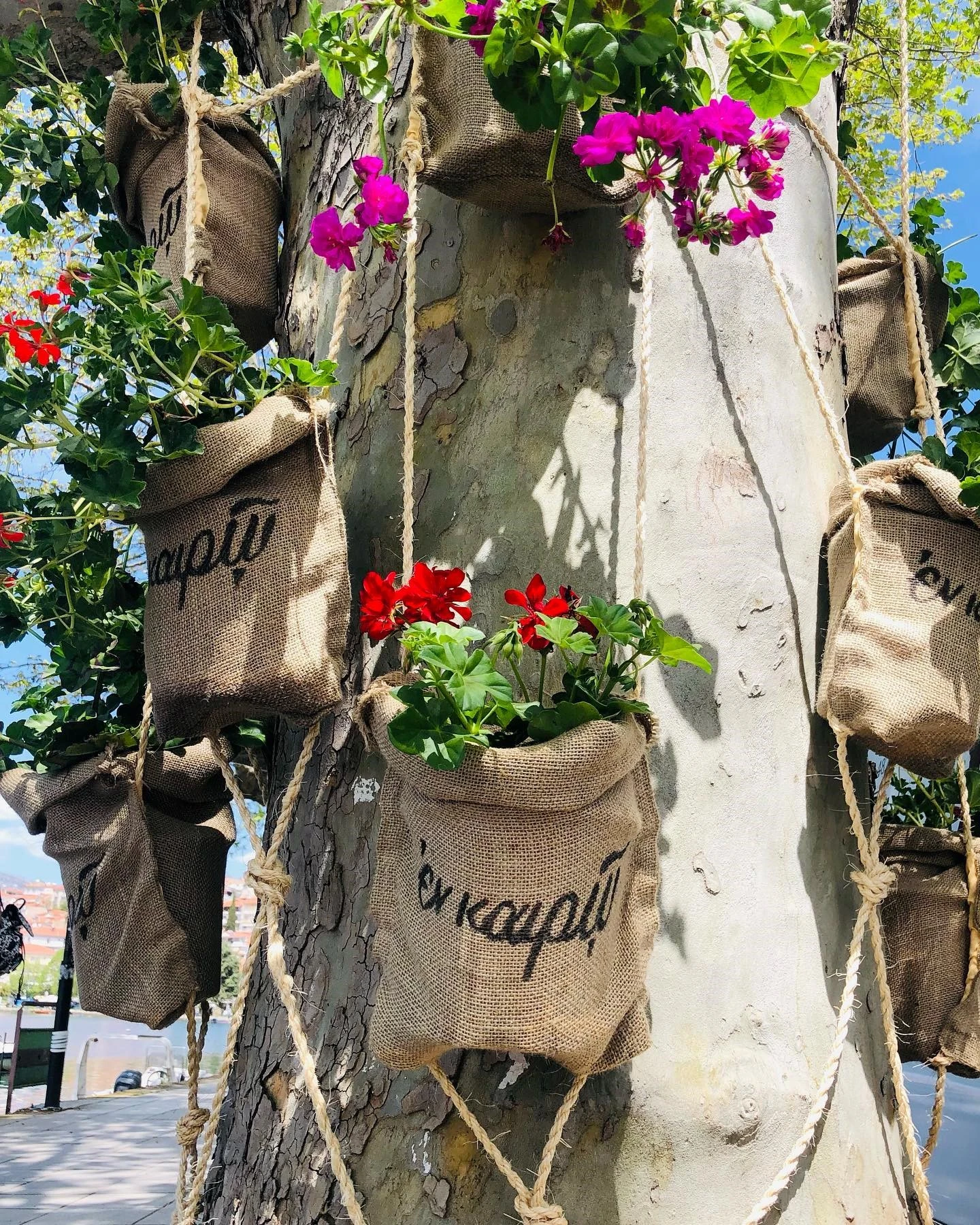 kafepotion-n-kair7.jpg kafepotion-n-kair7.jpg