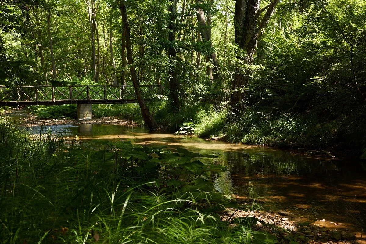 mikro-ktima-titoy12.jpg mikro-ktima-titoy12.jpg