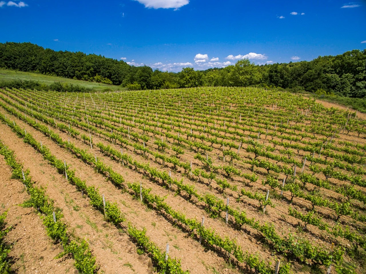 mikro-ktima-titoy2.jpg mikro-ktima-titoy2.jpg