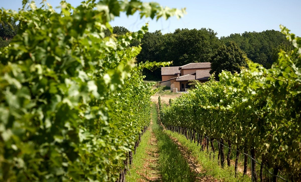 mikro-ktima-titoy4.jpg mikro-ktima-titoy4.jpg