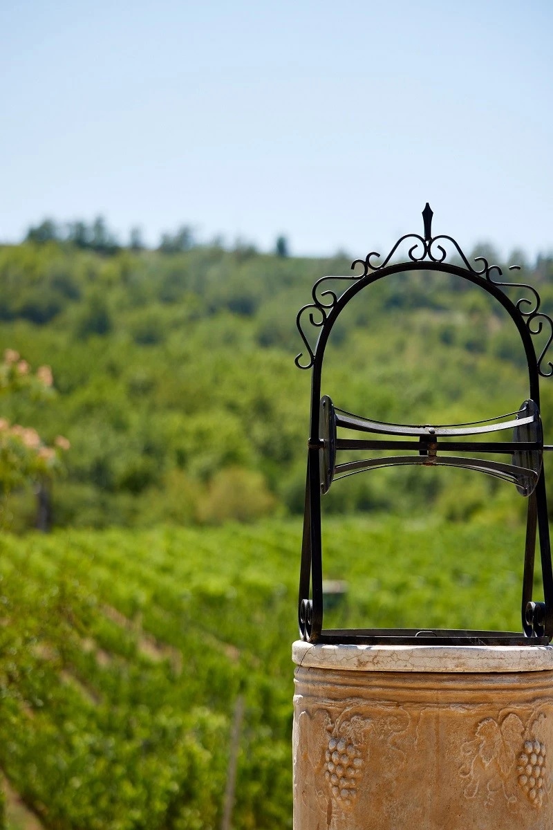 mikro-ktima-titoy9.jpg mikro-ktima-titoy9.jpg