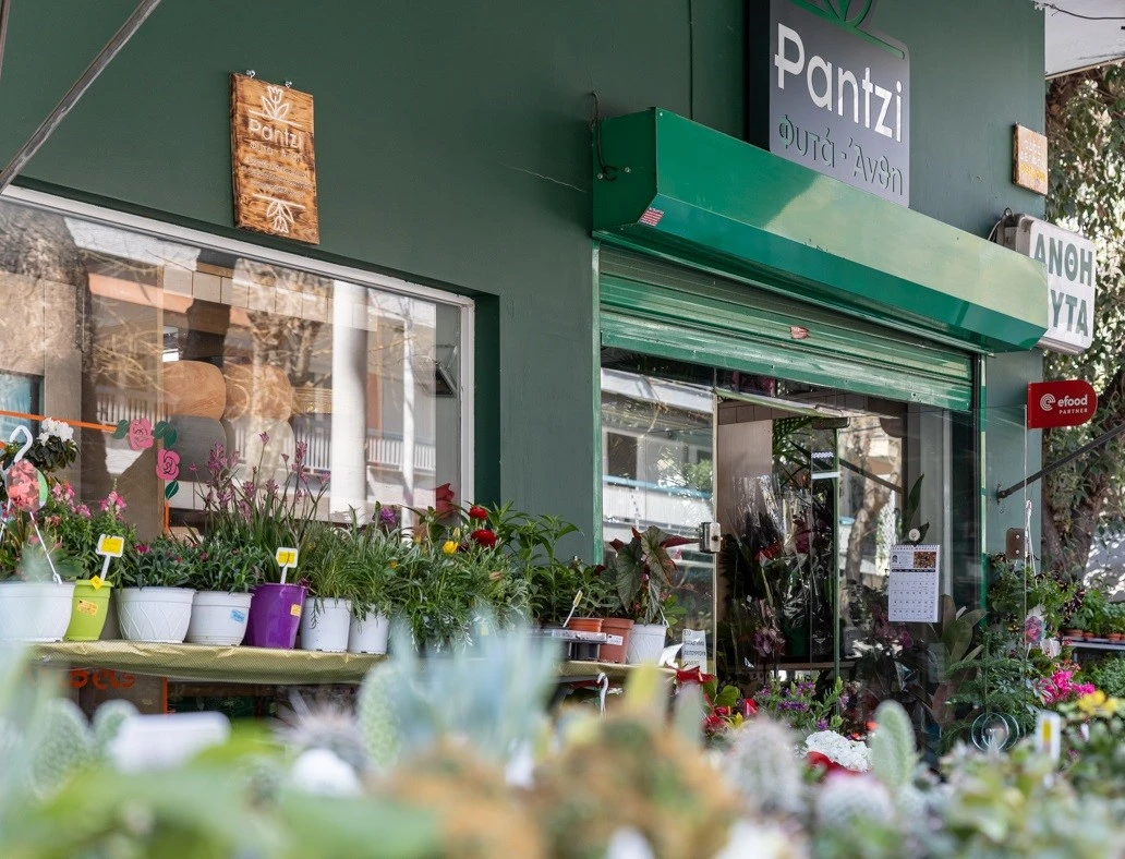 pantzi3.jpg