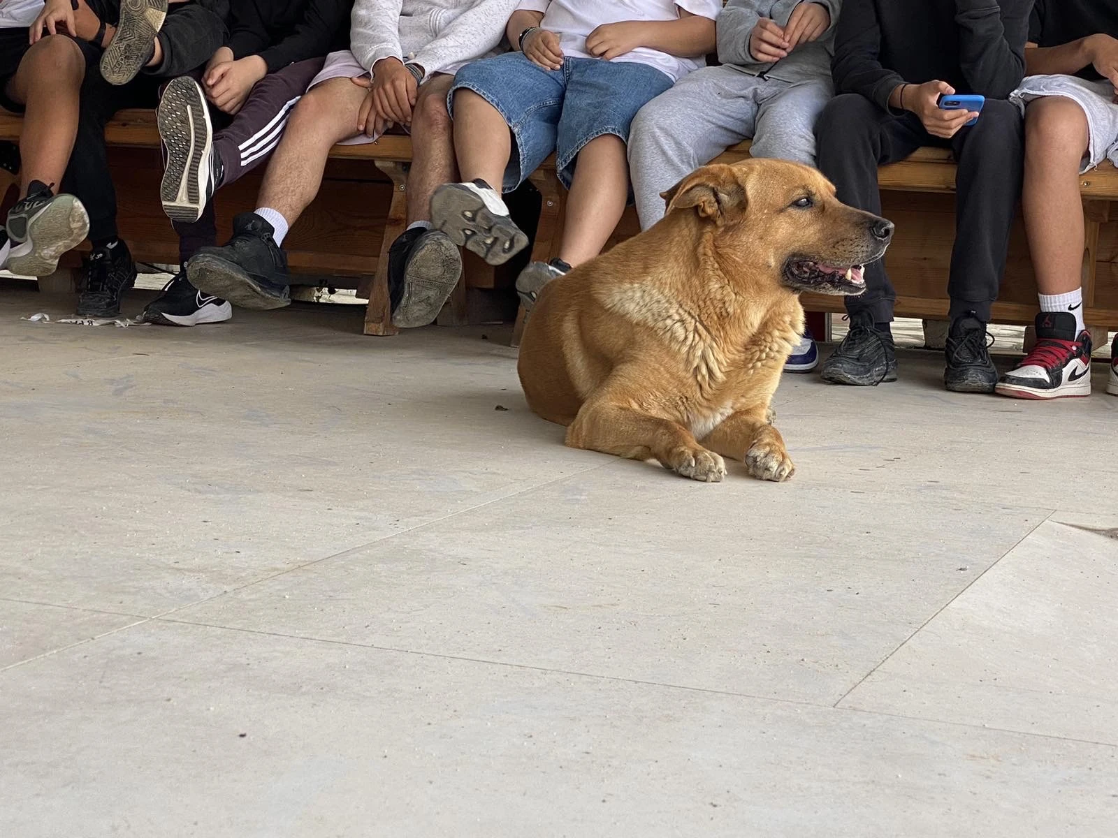 img-5107.jpeg img-5107.jpeg