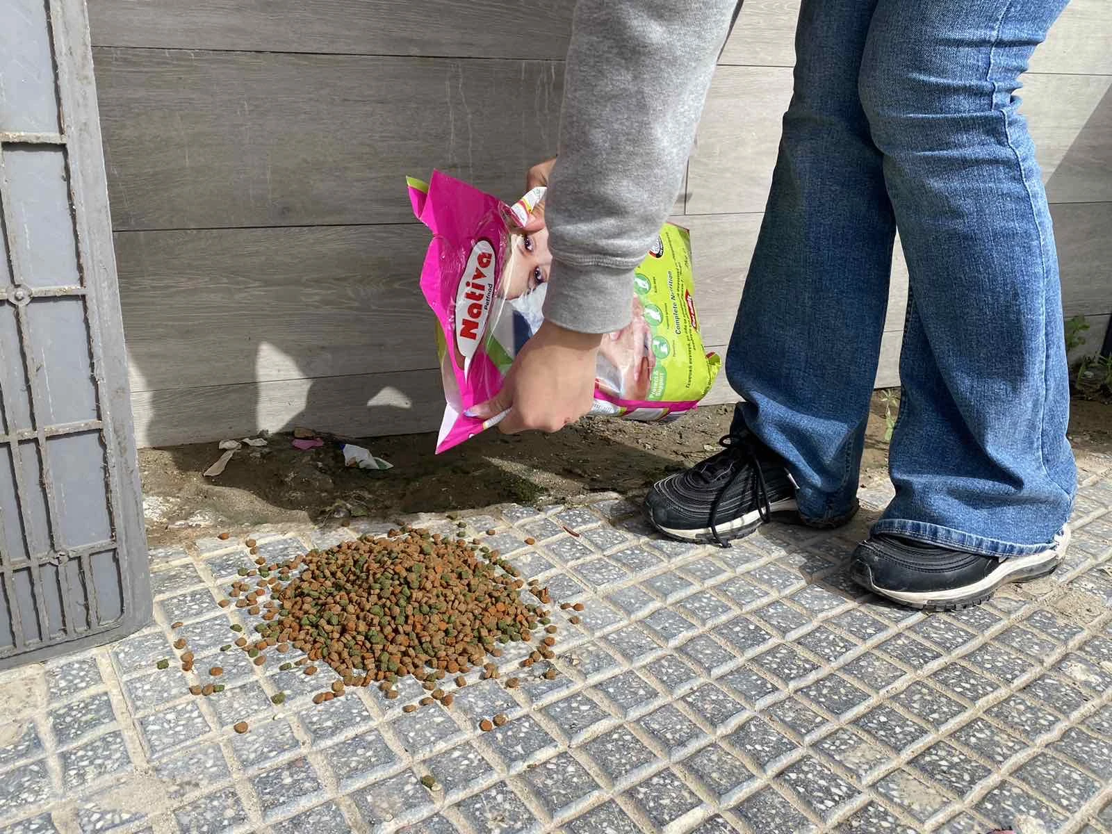 img-5109.jpg img-5109.jpg