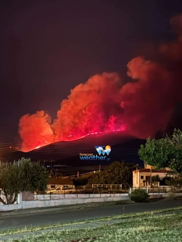 451574195-1004235494490229-7046338242197115087-n.jpg 451574195-1004235494490229-7046338242197115087-n.jpg