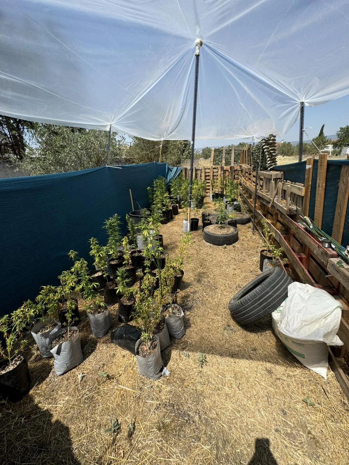 2024-07-31-foto-narkotika-1.jpg 2024-07-31-foto-narkotika-1.jpg