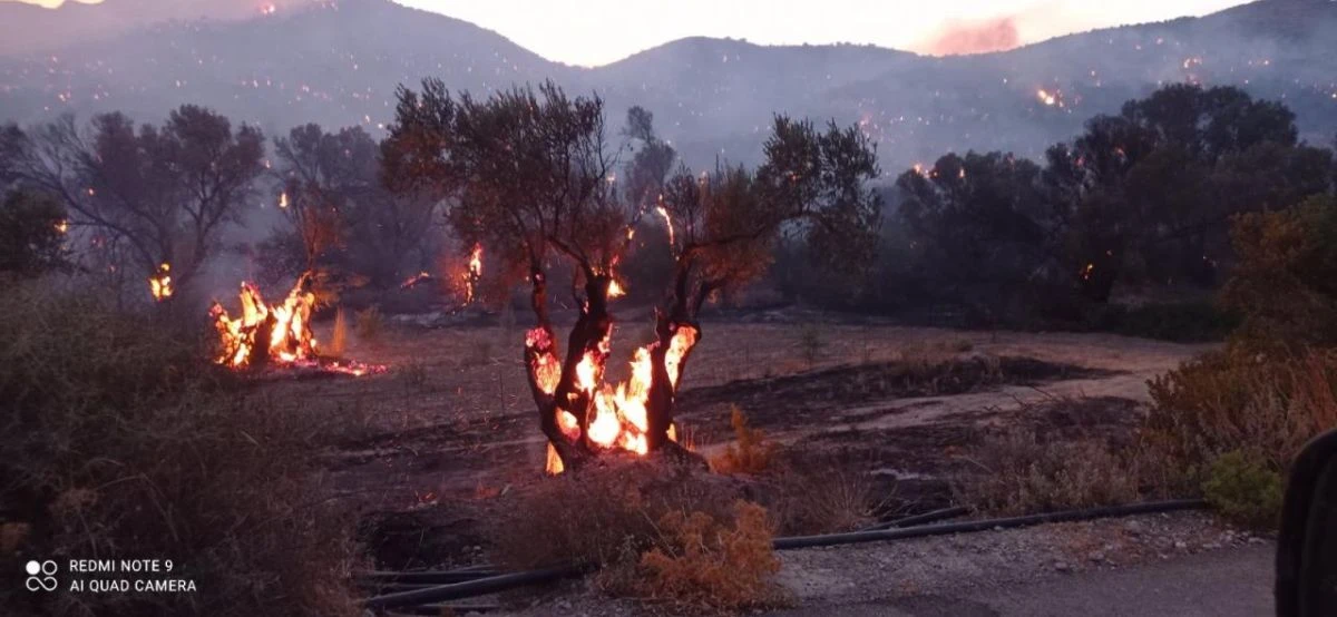 Πηγή: https://www.goodnet.gr/files/goodnet/YLI_2024/AYGOUSTOS%202024/07-08/pyrkagia/agiaparaskevi%20%281%29.jpg