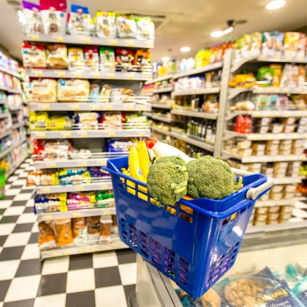 market-city13.jpg market-city13.jpg