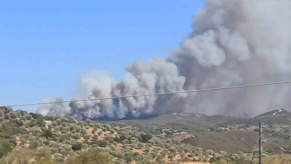 Πηγή: https://www.facebook.com/photo?fbid=882313580598573&set=a.592875619542372