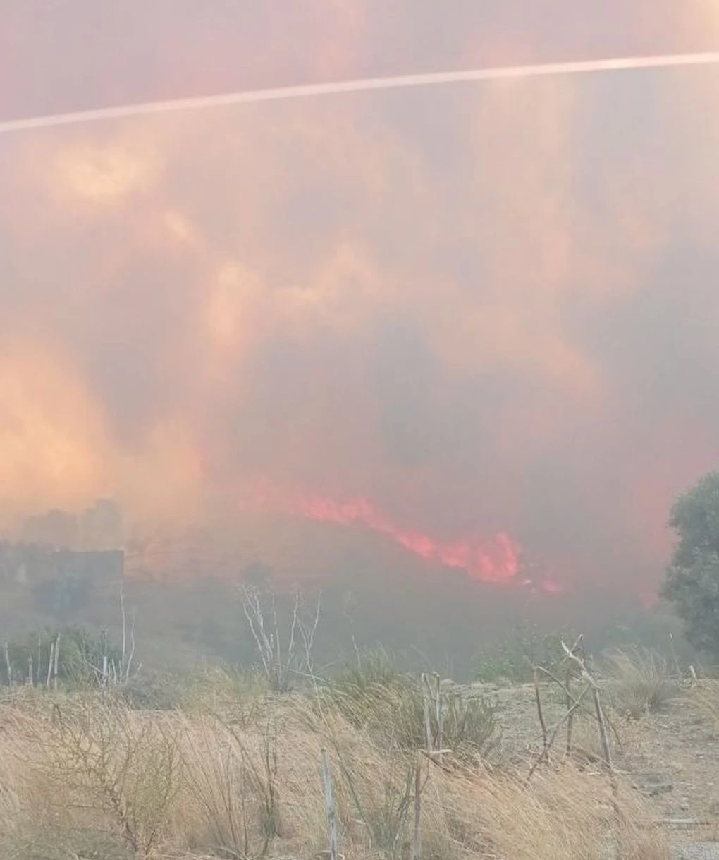 Πηγή: https://www.goodnet.gr/files/goodnet/YLI_2024/AYGOUSTOS%202024/08-08/PYRKAGIA/fotia%20amari%20new%202.jpg