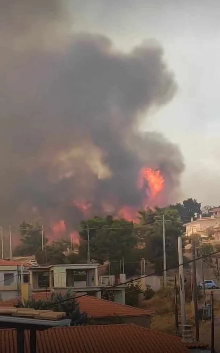 πηγή: https://www.facebook.com/photo/?fbid=10220679123408546&set=gm.1740098693187429&idorvanity=541254253071885