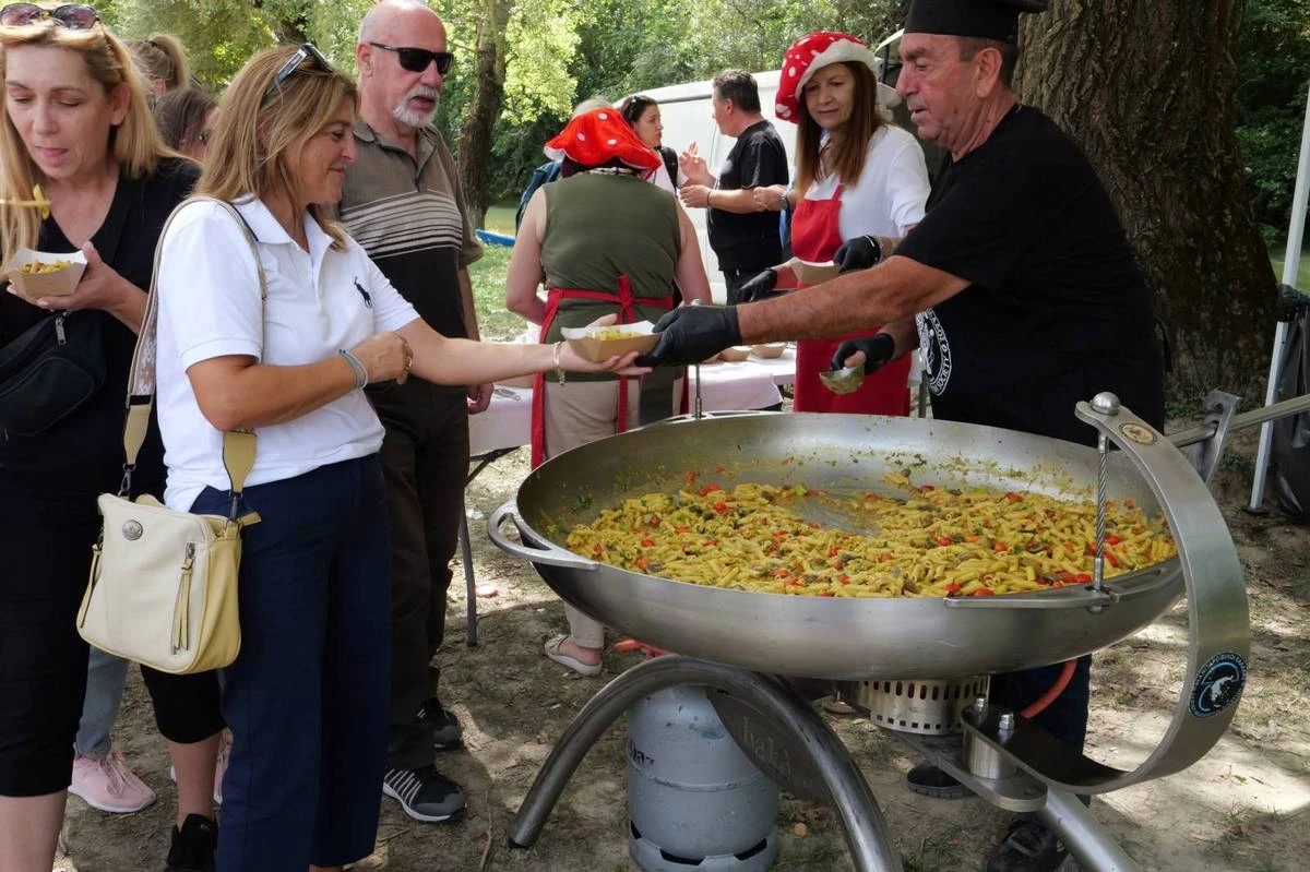 dasotherapeia-dytiki-makedonia8.jpg dasotherapeia-dytiki-makedonia8.jpg