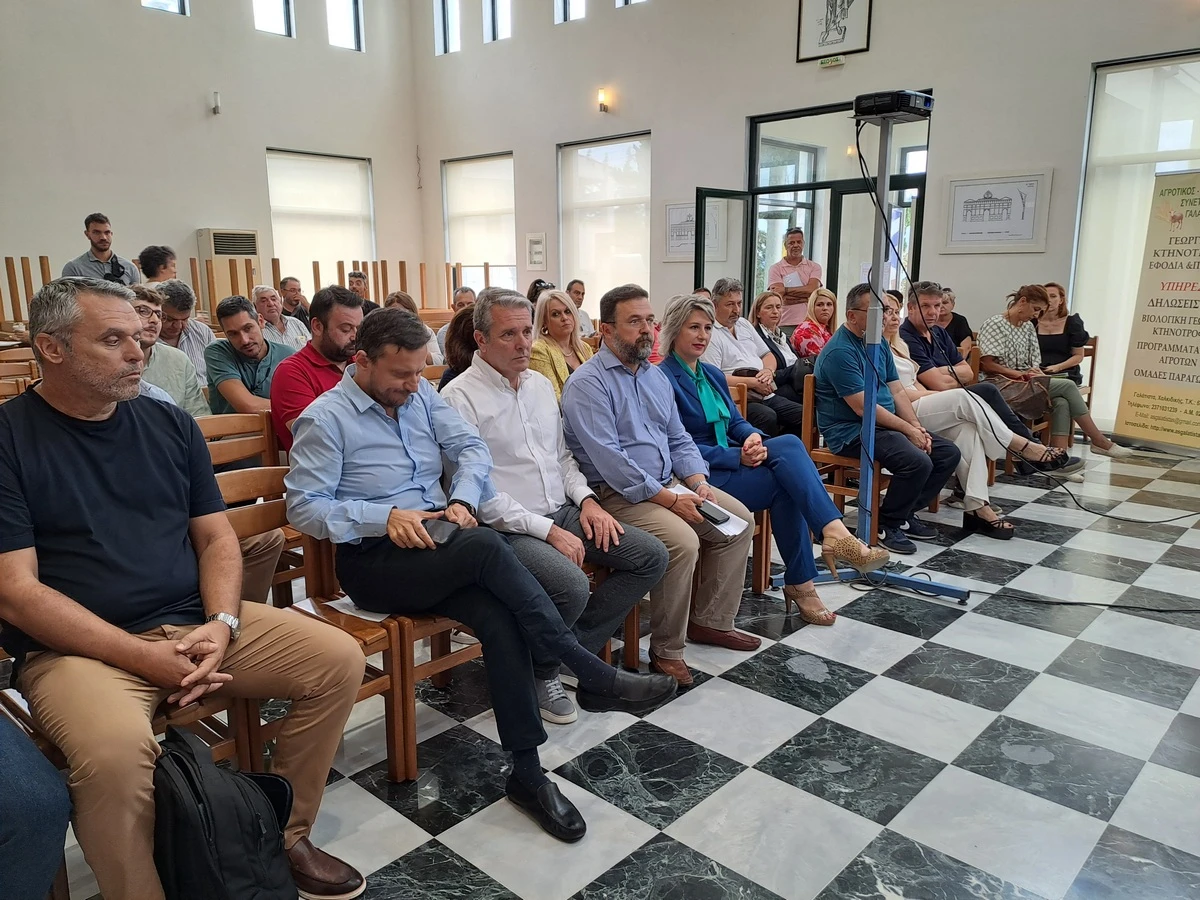 galatista-imerida2.jpg galatista-imerida2.jpg