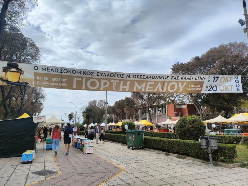 giorti-meliou3.jpg giorti-meliou3.jpg