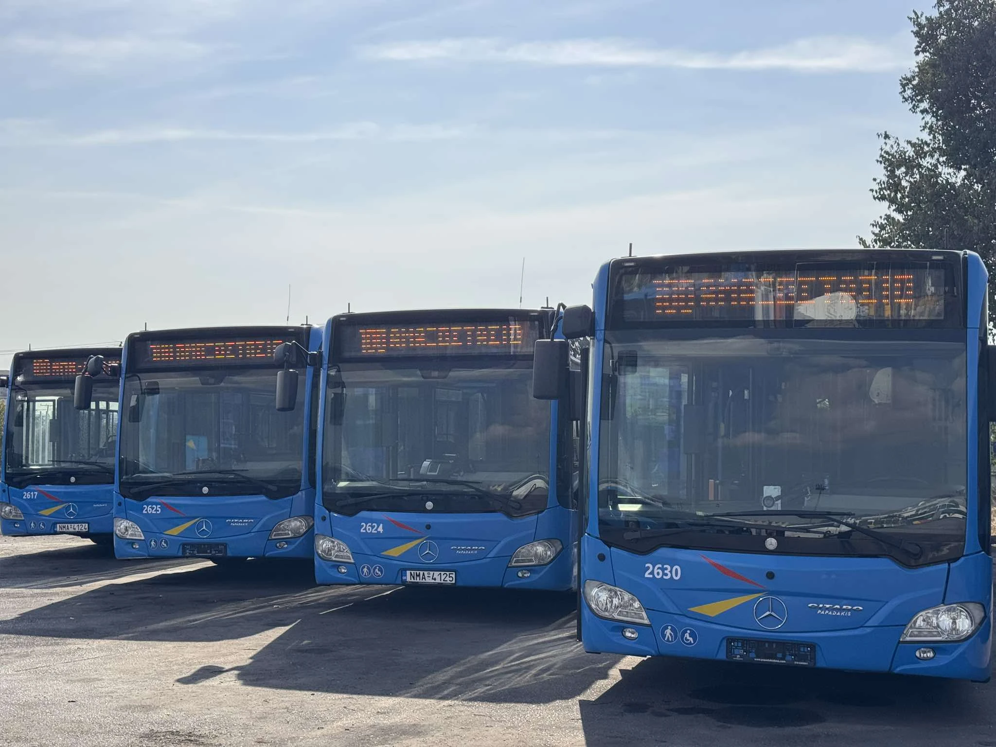 oasth.jpg?v=0 oasth.jpg?v=0