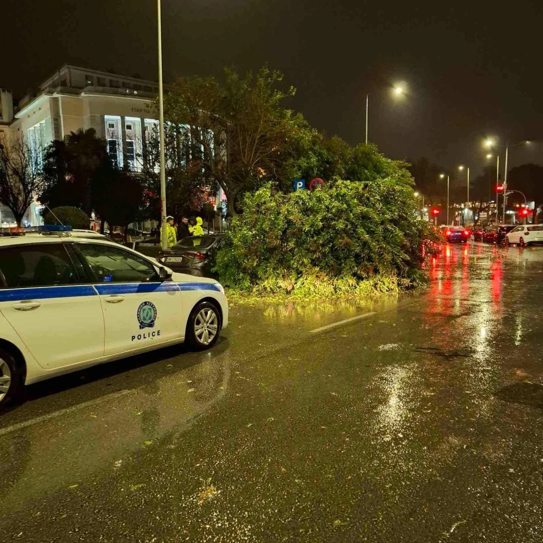 Πτώσεις δέντρων στην περιοχή του Λευκού Πύργου