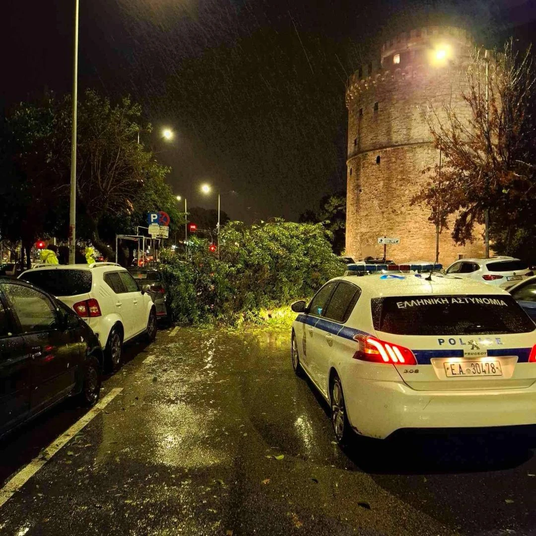Πτώσεις δέντρων στην περιοχή του Λευκού Πύργου