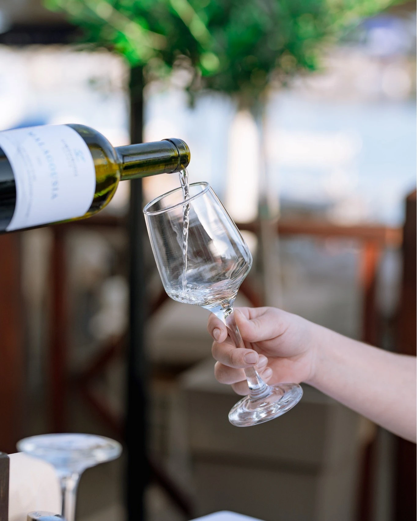 mpalaouro17.jpg mpalaouro17.jpg