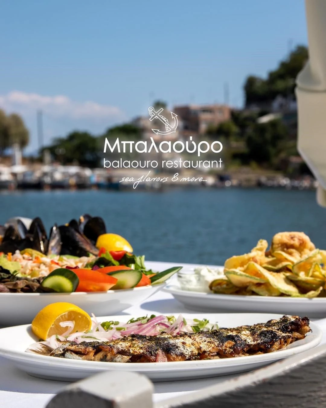 mpalaouro7.jpg mpalaouro7.jpg