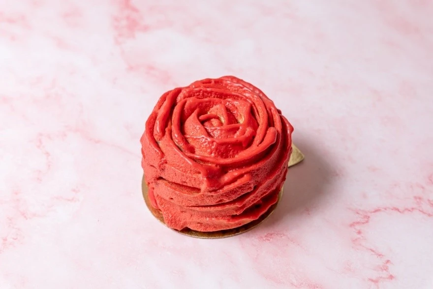 oattree12.jpg oattree12.jpg