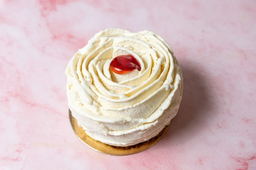 oattree14.jpg oattree14.jpg