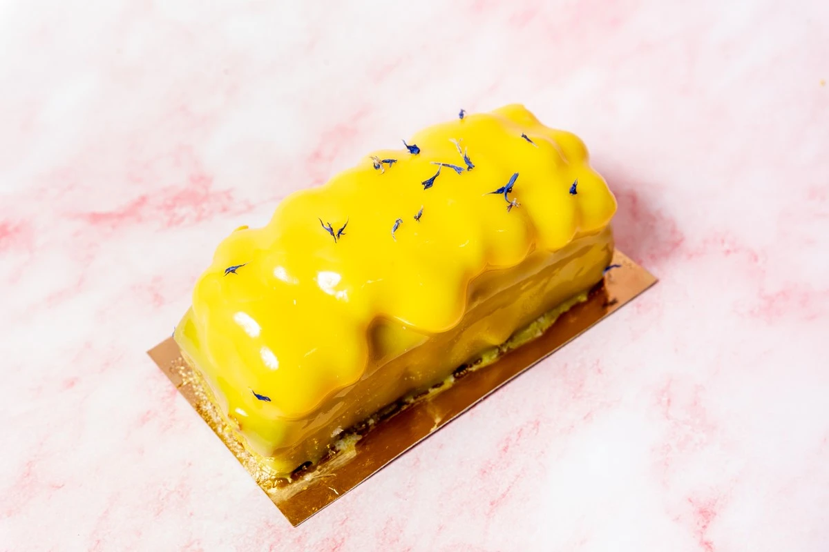 oattree2.jpg oattree2.jpg