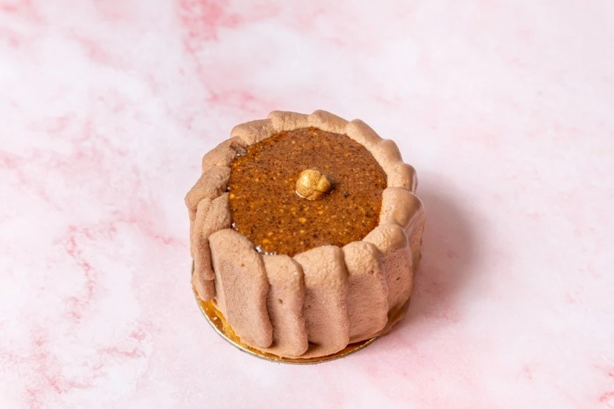 oattree21.jpg oattree21.jpg