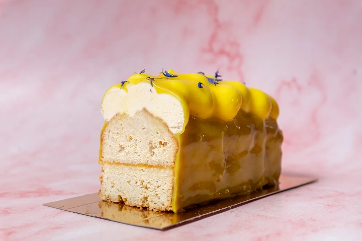 oattree3.jpg oattree3.jpg