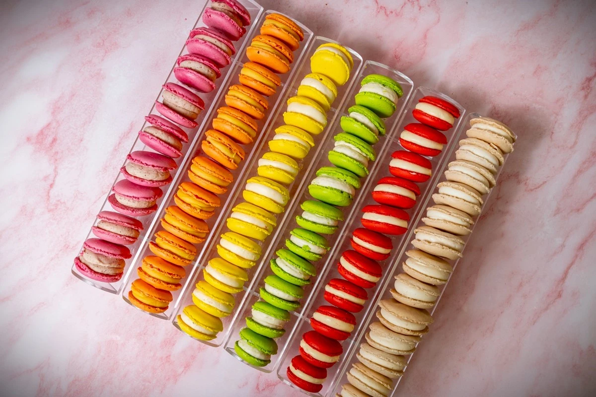 oattree6.jpg oattree6.jpg