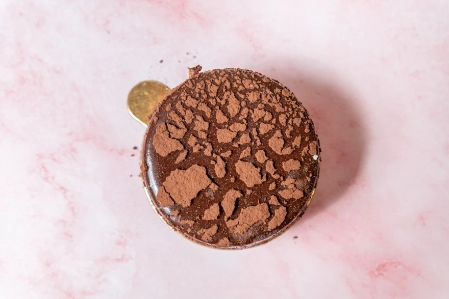 oattree9.jpg oattree9.jpg