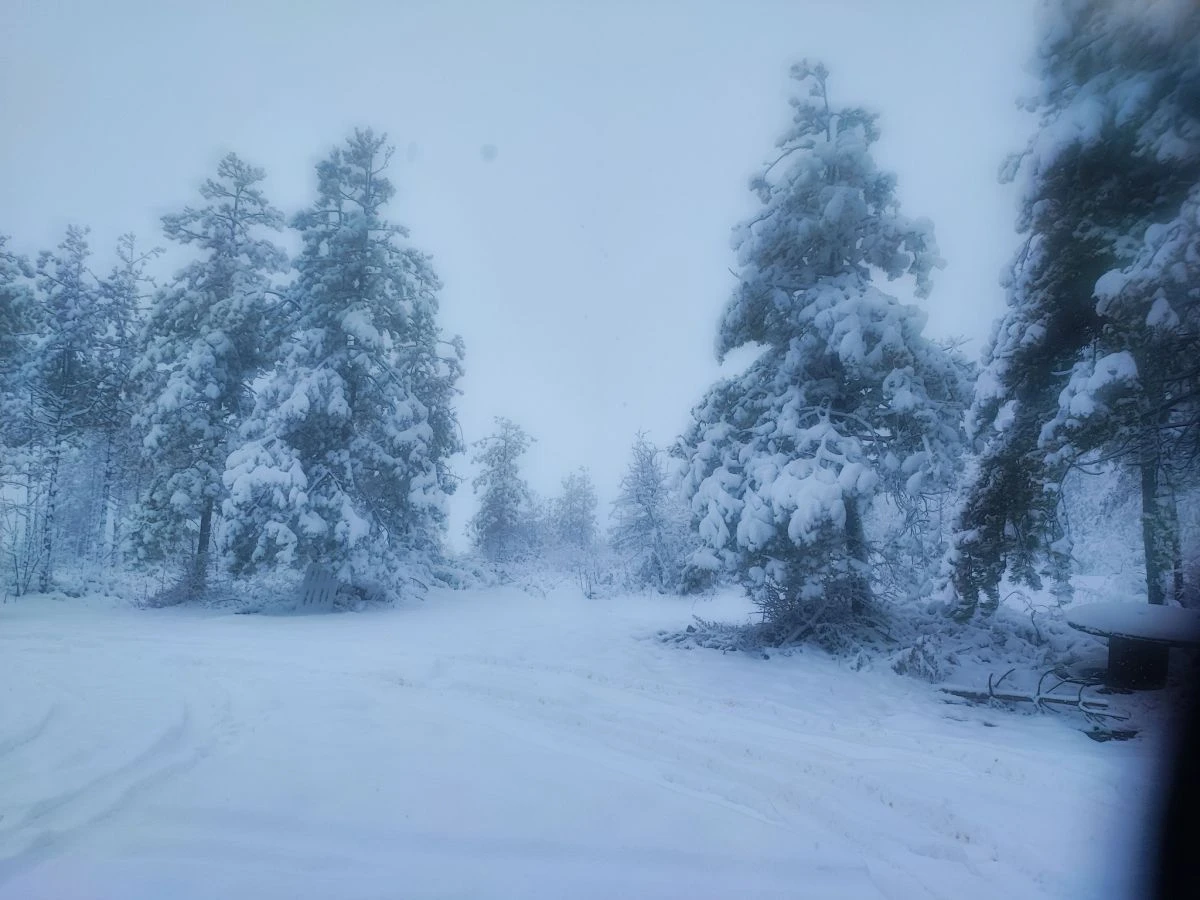 Πηγή: https://www.facebook.com/photo/?fbid=8979184015540639&set=pcb.1388689368777222 Πηγή: https://www.facebook.com/photo/?fbid=8979184015540639&set=pcb.1388689368777222