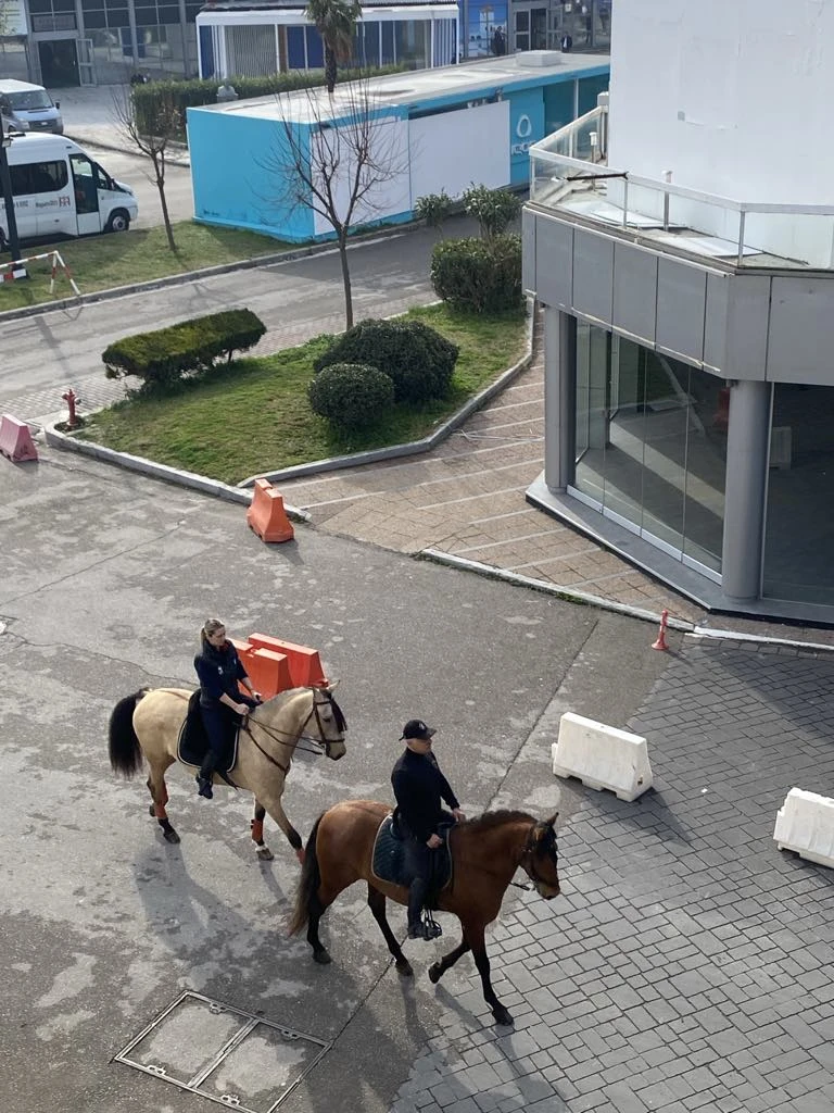 1738234446937-1.jpeg?v=0