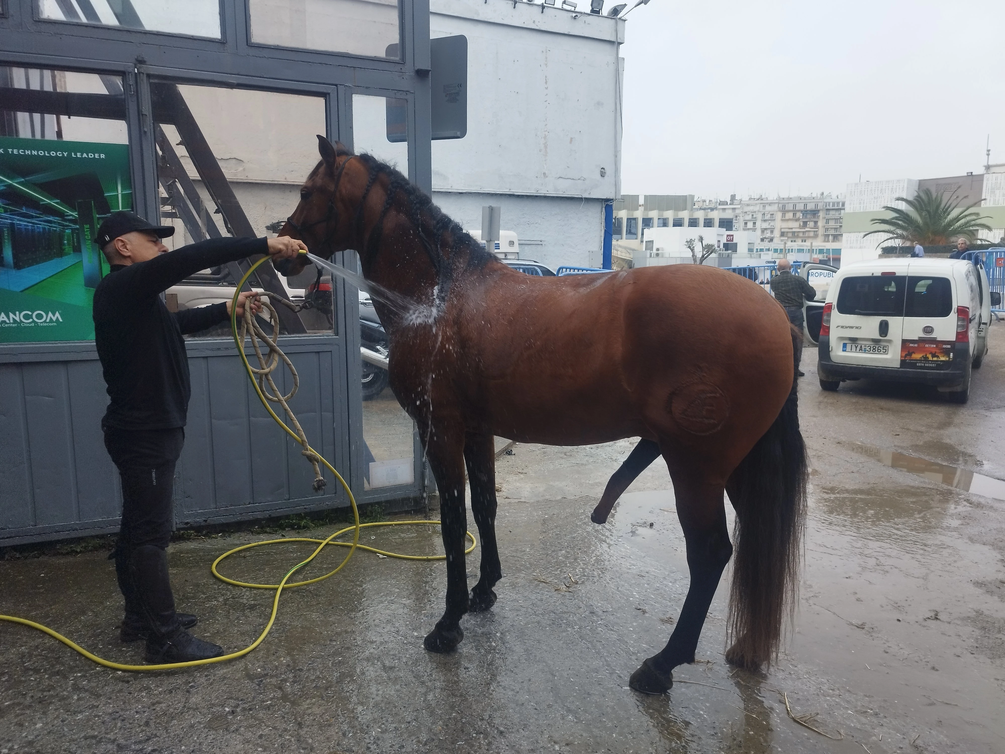 1738234446956.jpg?v=0