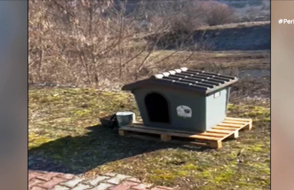 2-skilospit.bmp?v=0 2-skilospit.bmp?v=0