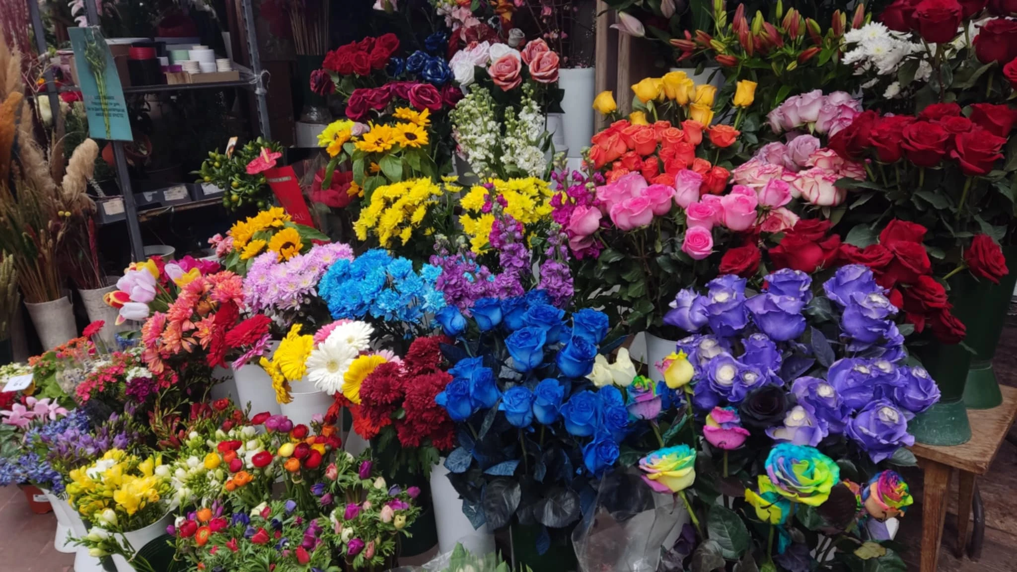 a808f3b7-0211-4490-b91e-95106a463f8d.jfif?v=0