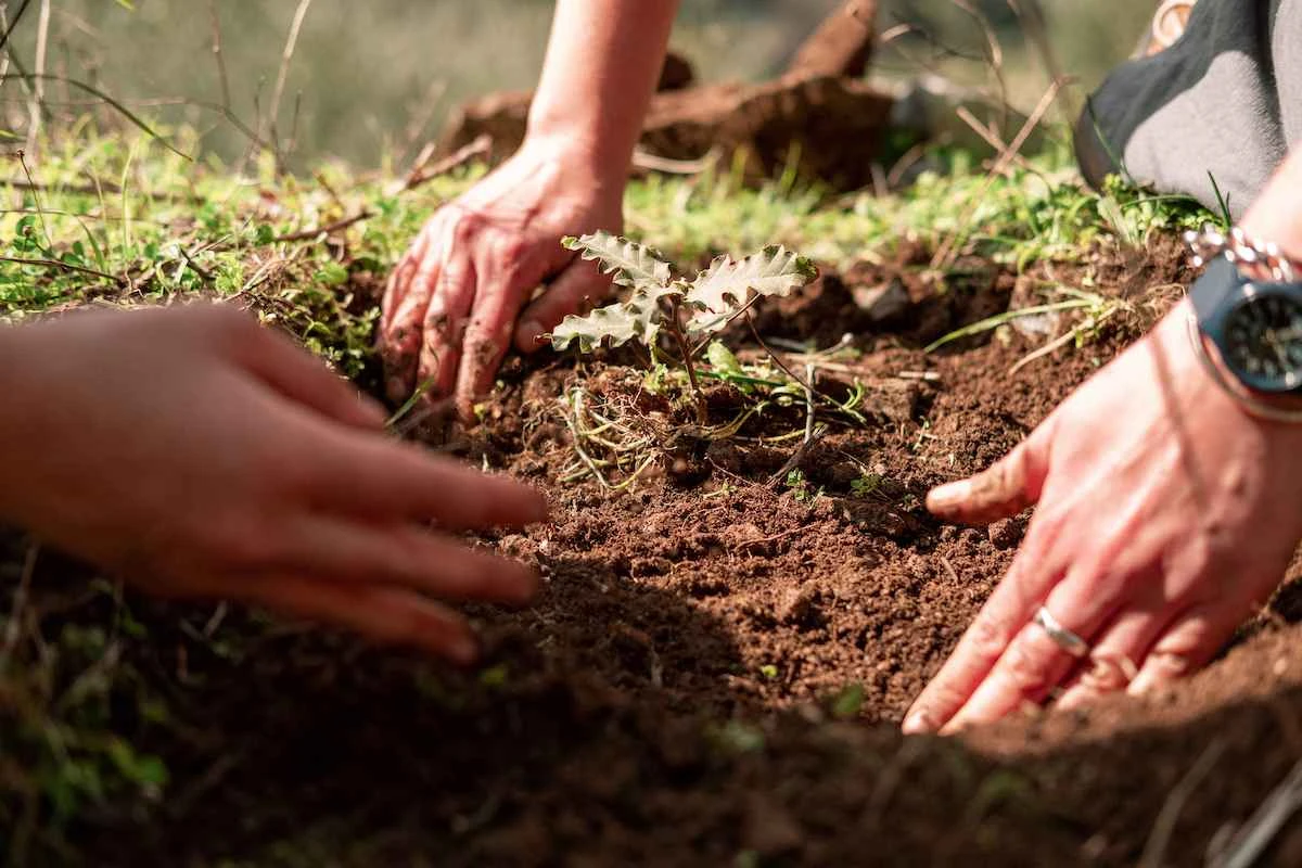 Ανάπτυξη σχεδίου πυροπροστασίας του δάσους των Παλαιών Ρουμάτων από την ΚοινΣΕπ «Πεμπτουσία», στο πλαίσιο του 7ου κύκλου του Προγράμματος «Σημεία Στήριξης».
