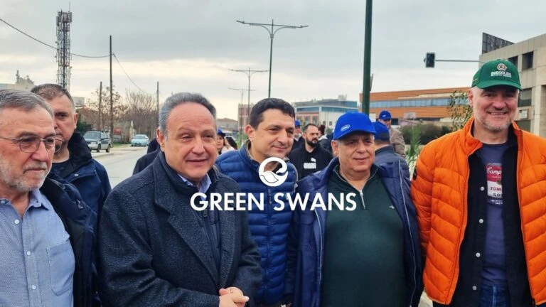 greenswans-1.jpg?v=0 greenswans-1.jpg?v=0