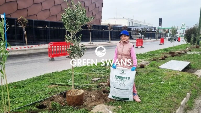 greenswans-13.jpg?v=0 greenswans-13.jpg?v=0