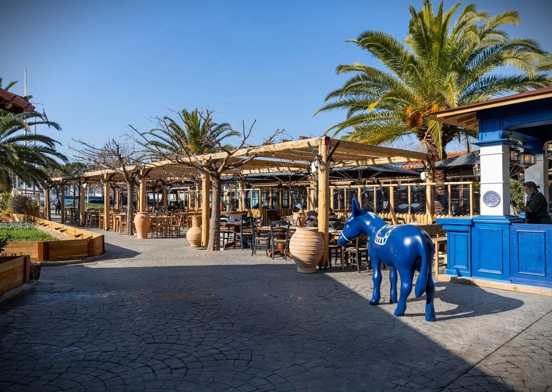 paramithia22.jpg?v=0