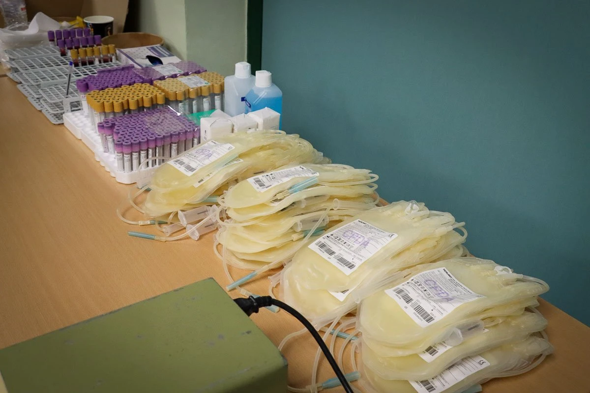 archio-lipsis.jpeg?v=0