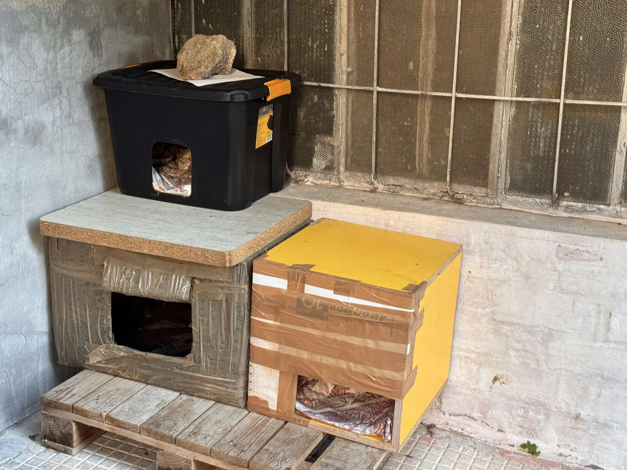 gates-toympa-1.jpg?v=0