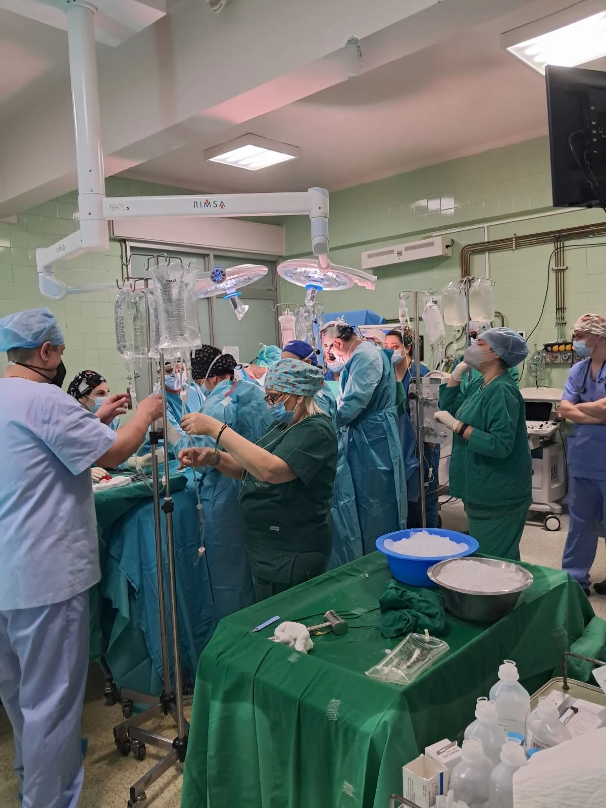 metamosxeusi-1.jpg?v=0