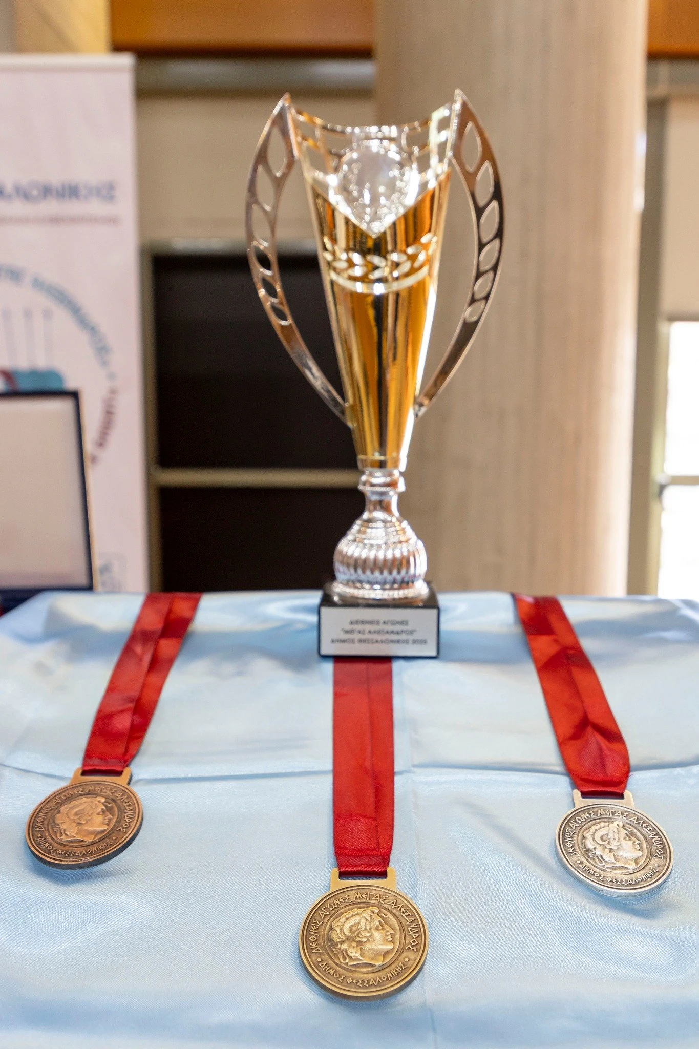 483527131-1019232006926582-8942833782378196861-n.jpg?v=0