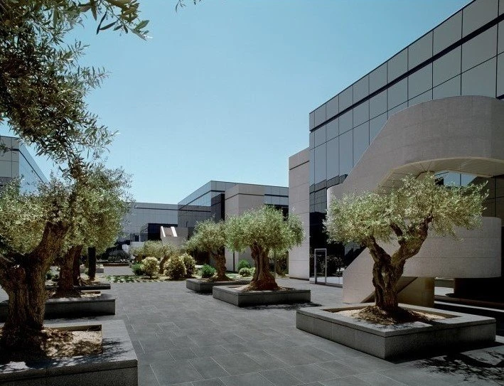 afi-frantzi6.jpg?v=0