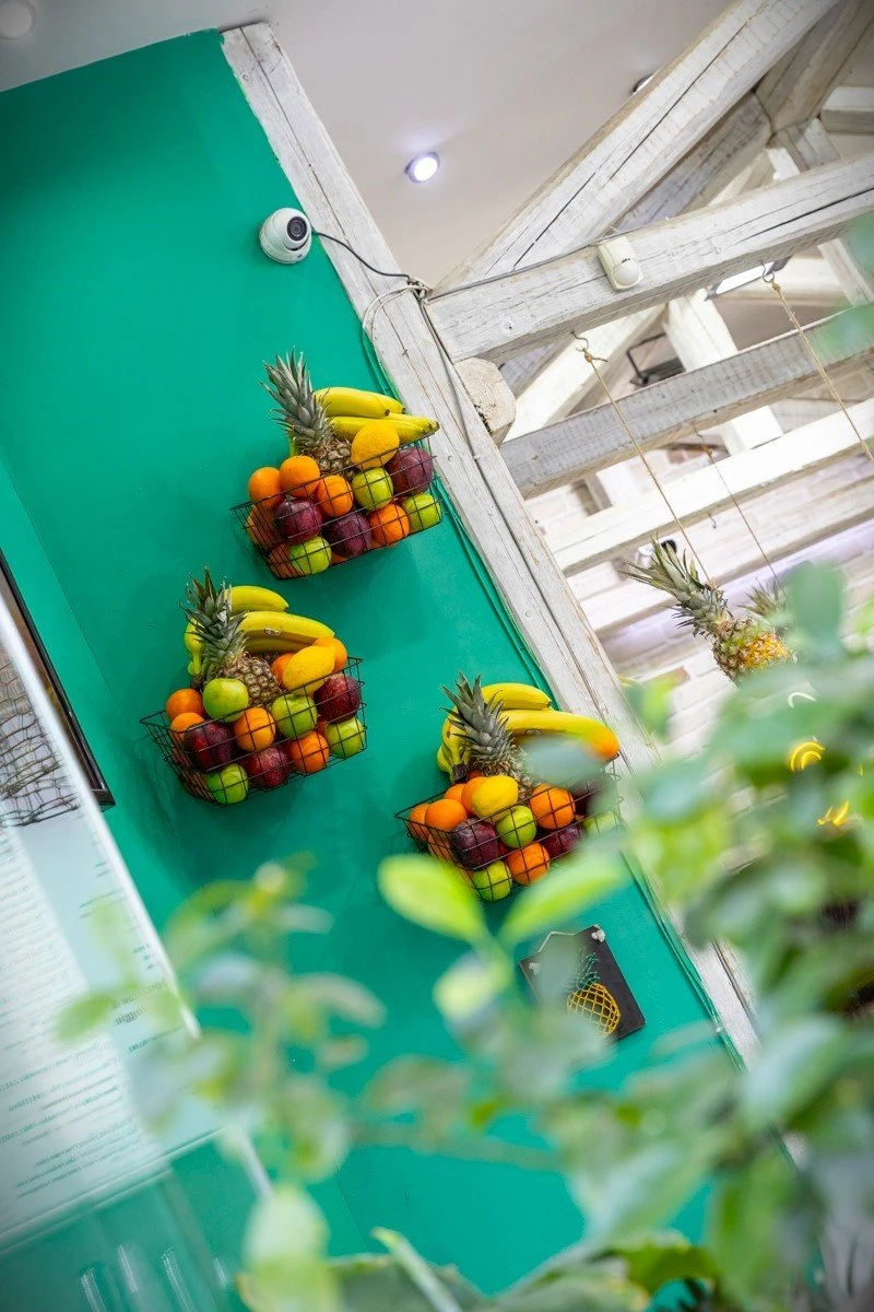 greek-natural5.jpg?v=0