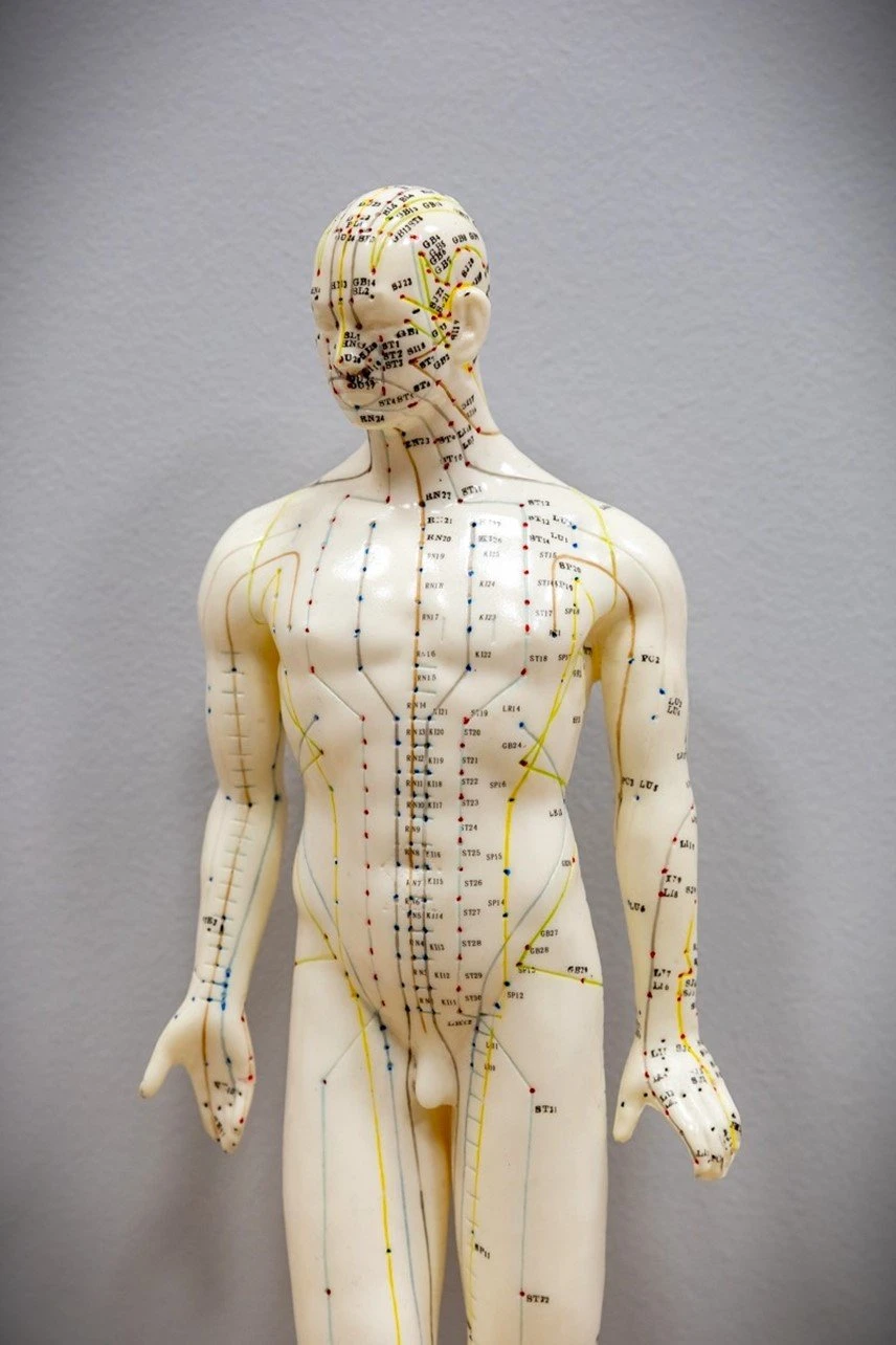 kinesiotherapy7.jpg?v=0