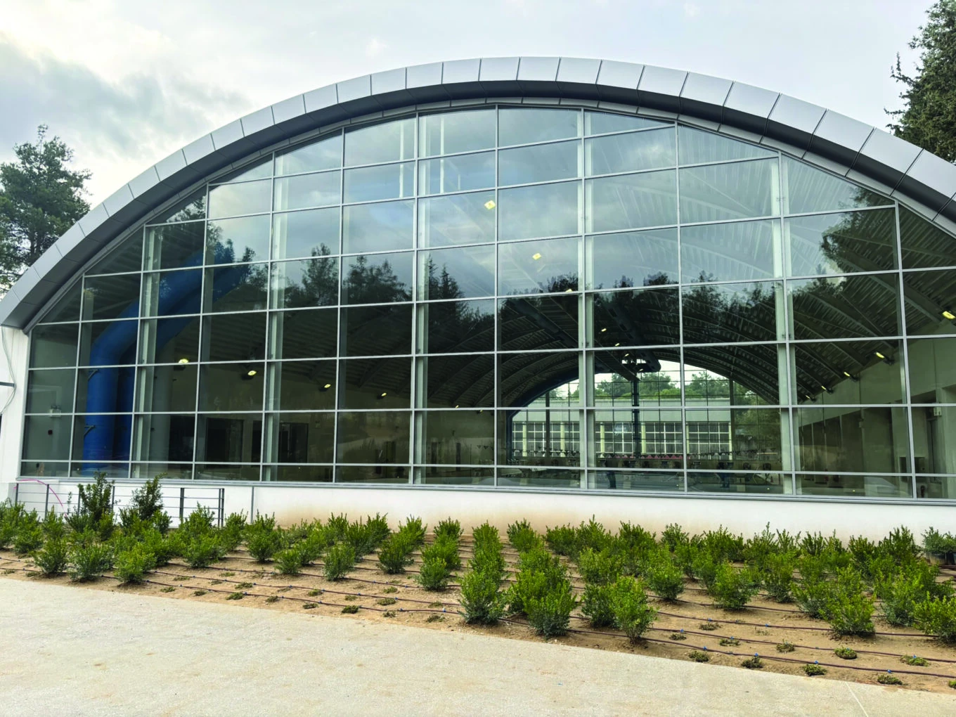 kolymvitiriodramas2.jpeg?v=0