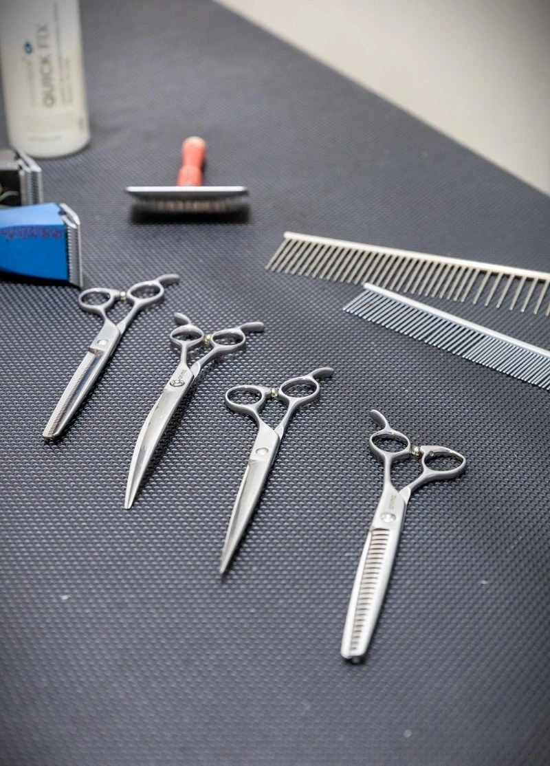 peaky-paws17.jpg?v=0